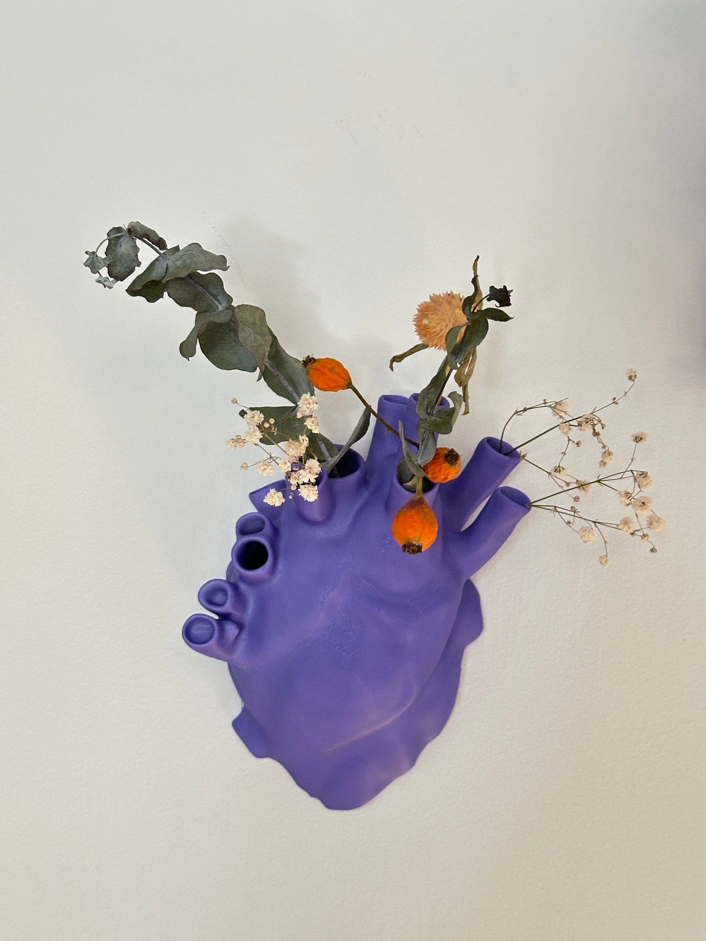 Vaso da Parete a Forma di Cuore Anatomico