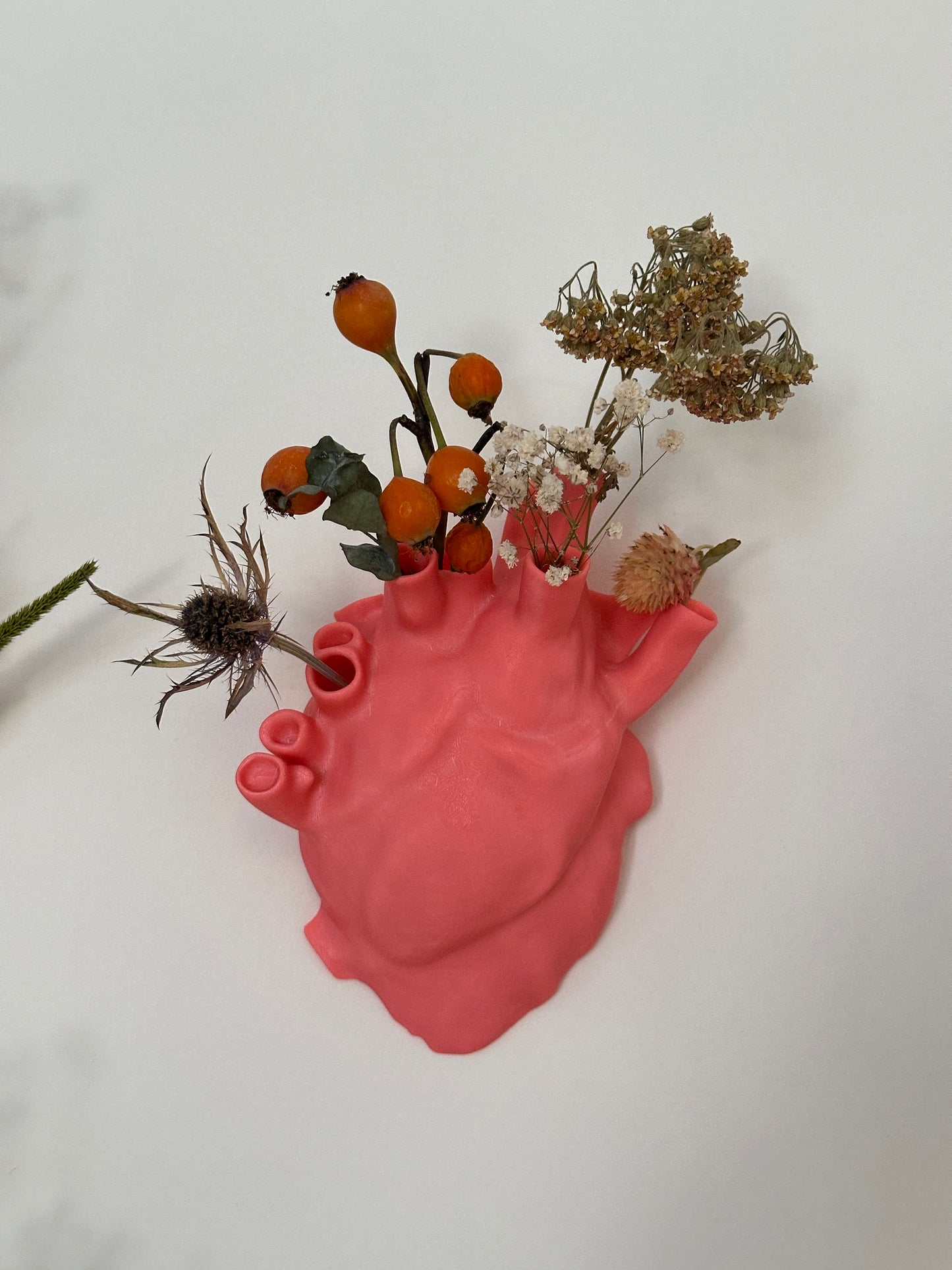 Vaso da Parete a Forma di Cuore Anatomico